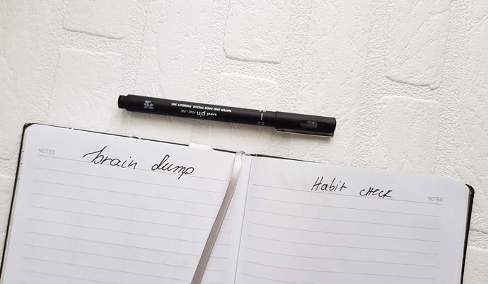 brain dump and habit check titles