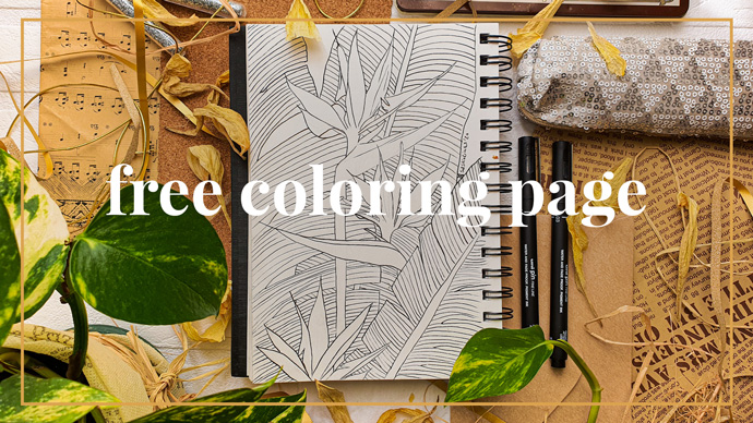 FREE Coloring Page – Birds of Paradise Plant Illustration Lineart