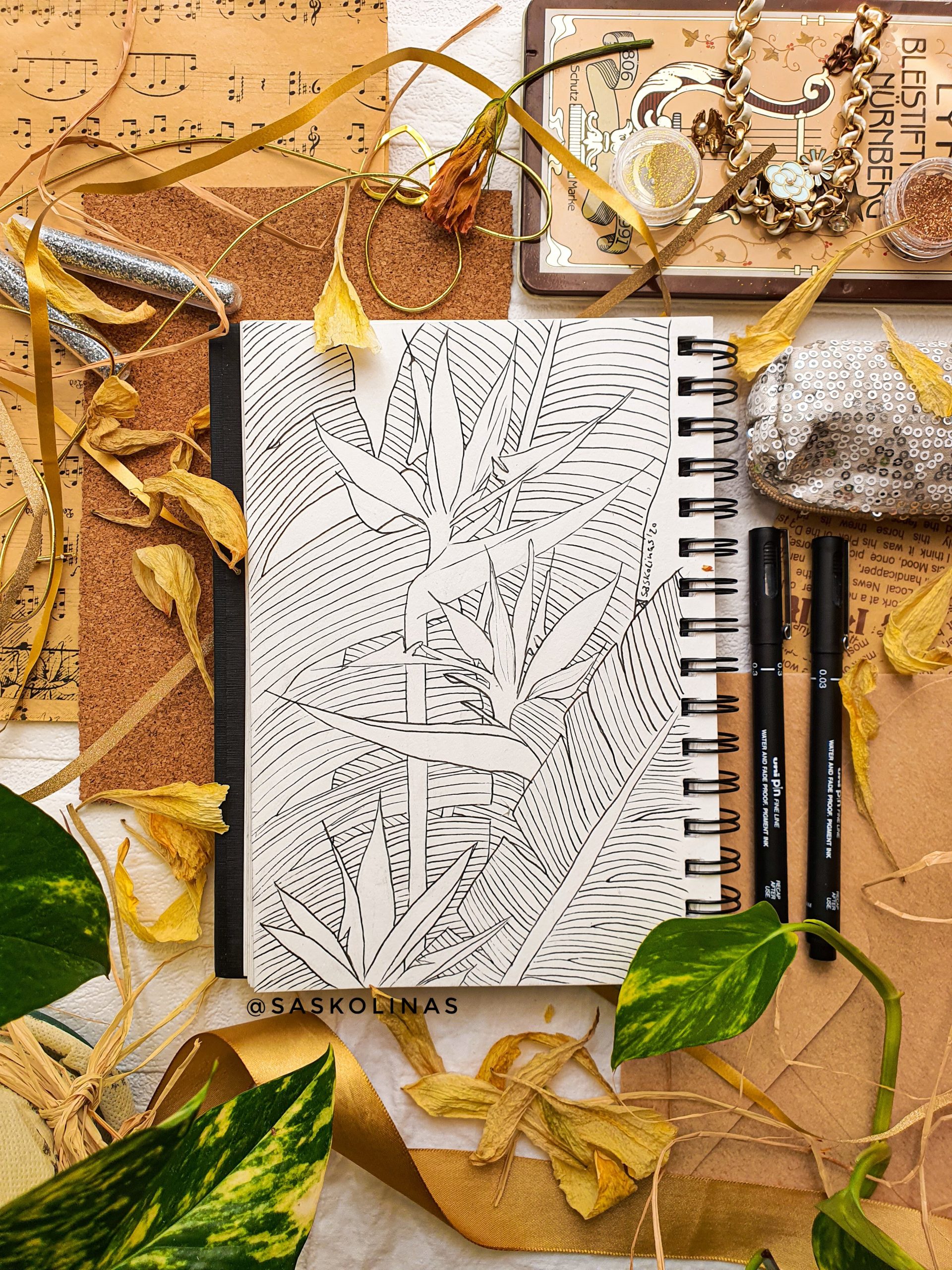 birds of paradise plant illustration - line art with an outlined coloring page design