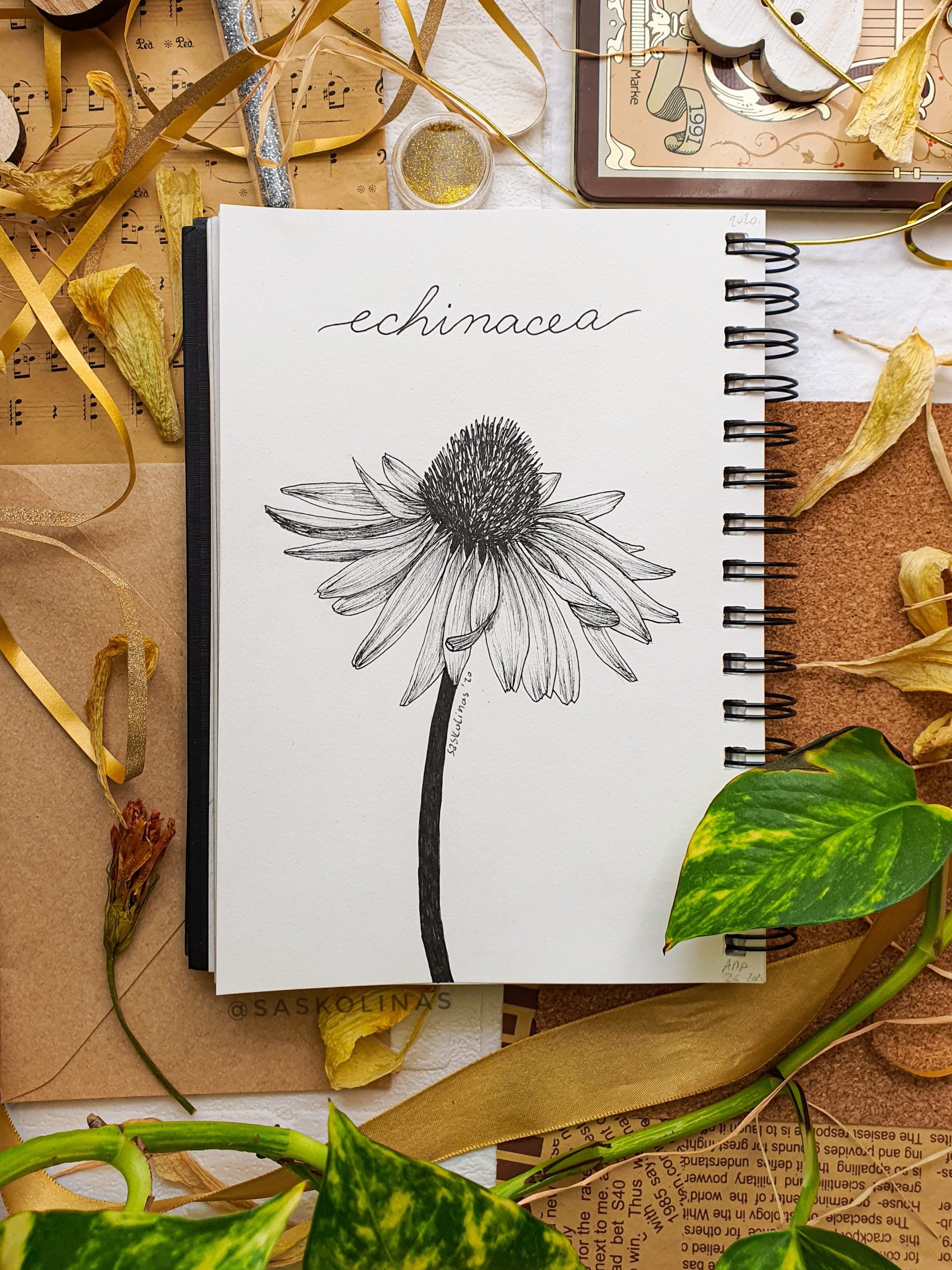 echinacea modern floral design made with black ink